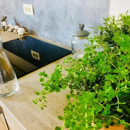 Hotel Colors Of Where The Sea Is Near By Koper