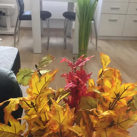 Colors Of Where The Sea Is Near By Hotel Koper