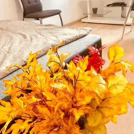 Colors Of Where The Sea Is Near By 2* Koper