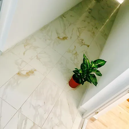 Отель Colors Of Where The Sea Is Near By Копер