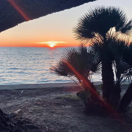 Colors Of Where The Sea Is Near By