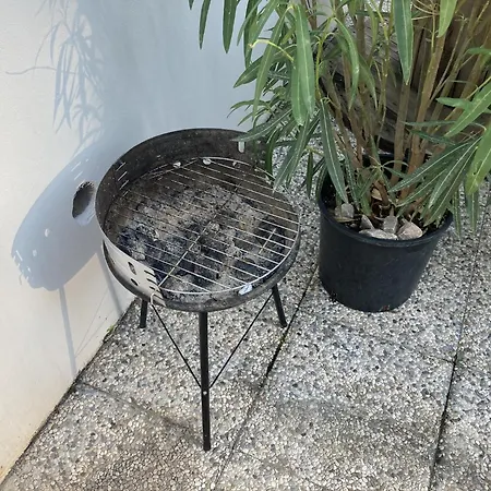 Colors Of Where The Sea Is Near By 2* Koper