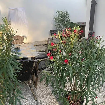 Hotel Colors Of Where The Sea Is Near By