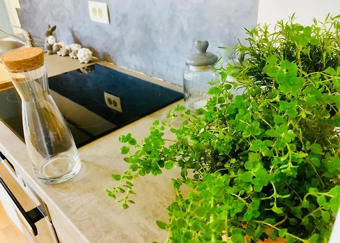 ホテル Colors Of Where The Sea Is Near By コペル