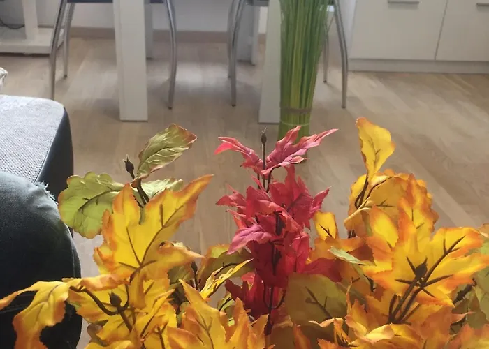 Colors Of Where The Sea Is Near By ホテル コペル