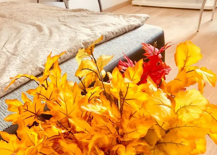 Colors Of Where The Sea Is Near By 2* コペル