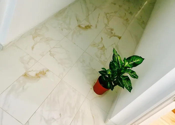 Hotel Colors Of Where The Sea Is Near By Koper